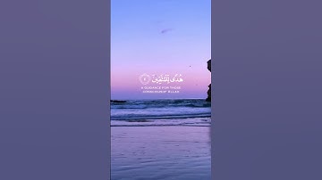اجمل تلاوة قرأنية بصوت ادهم النابلسي. #ادهم_النابلسي #قرآن_كريم #fypシ #viral #أذكار #quran