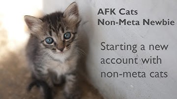 AFK Cats - Non-Meta Newbie - Starting a New Account