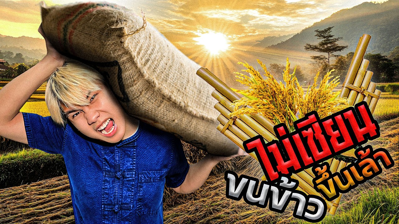 BossYellow | ไม่เซียน EP.5 แบกข้าวขึ้นเล้า กับต้มไก่ที่จริงใจ