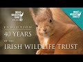 Evolution - 40 Years of the Irish Wildlife Trust