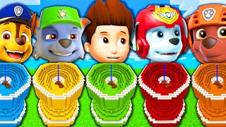 CHOOSE THE RIGHT FUNNY AND COLORED TOILET PAW PATROL RYDER CHASE MARSHALL ROCKY ZUMA MINECRAFT