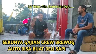 Berapakah Bayaran Crew Brewog  langsung Tuku Sapi Di Sela Sela Persiapan Karnaval Doko