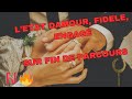 Flamme jumelle  ltat damour fidle engag en fin de parcours