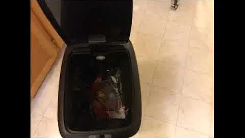 Type A Motion Sensor Narrow Garbage Bin video review by Richard