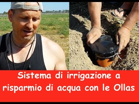 Video: Come Risparmiare Acqua Durante L'irrigazione?