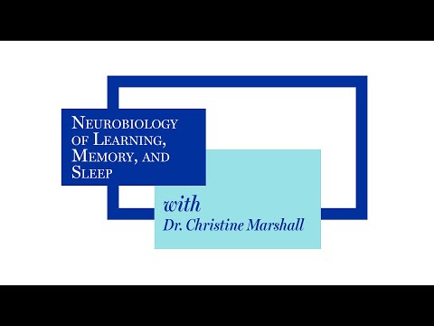 Courses of Study: Neurobiology of Learning, Memory, and Sleep