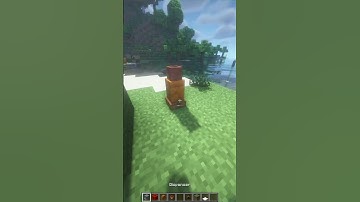 Small But Beautiful Traffic Cone in Minecraft! #shorts