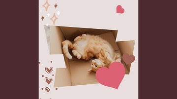 Pulsating Moody Kittens