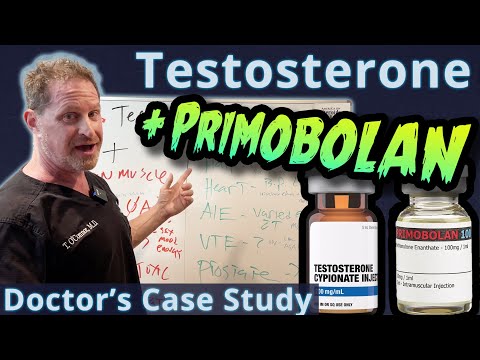 Testosterone + Primobolan: