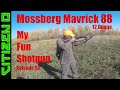 My favorite Fun Gun:  Mossberg Mavrick 88 12Ga