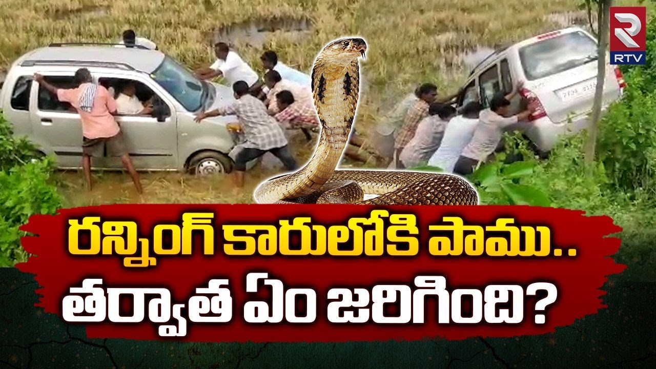 Snake Hulchul In Running Car At Kakinada రన్నింగ్ కారులోకి పాము.. ఏం