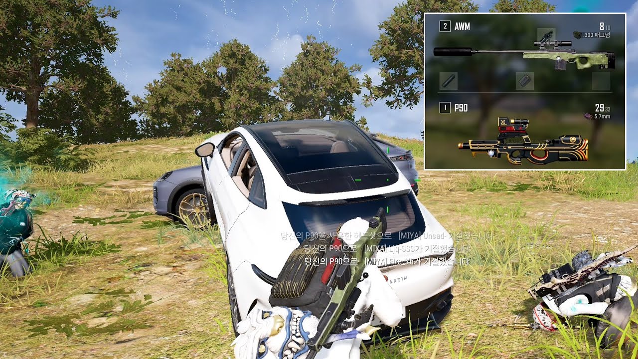 폭력적인 총 조합