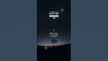 #سورة_الفرقان | وَيَوْمَ يَعَضُّ الظَّالِمُ عَلَىٰ يديْه يقول يا ليتني اتخذت مع الرسول سبيلا | #قرآن