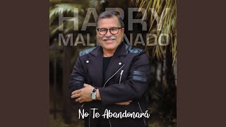 Video thumbnail of "Harry Maldonado - Que no Quede Nada"