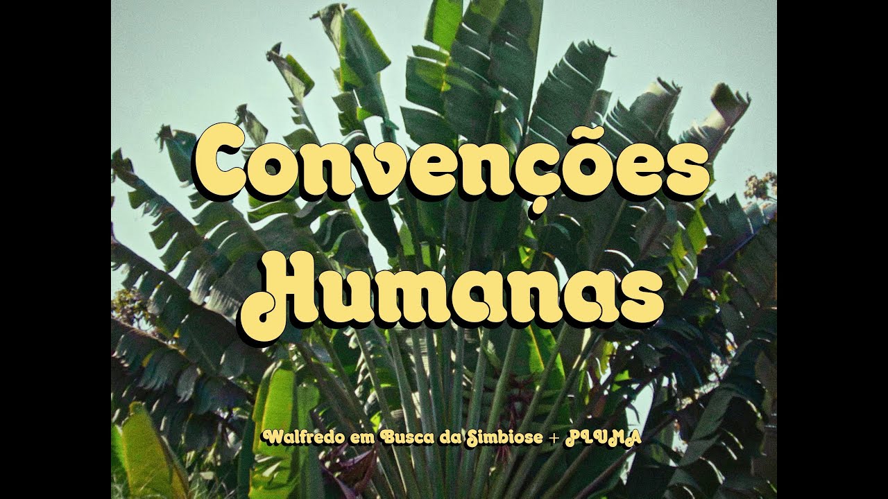 Walfredo em Busca Simbiose feat. Pluma - Convenções Humanas