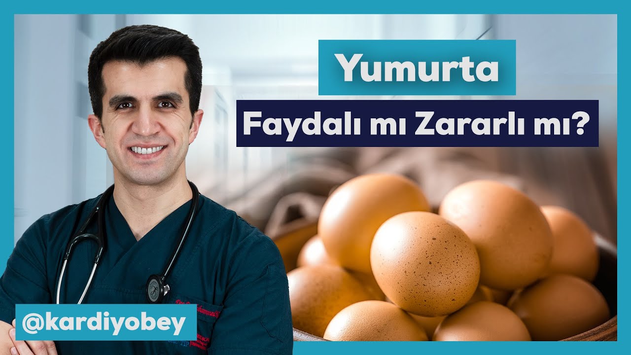 Yumurta Faydalı Mı Zararlı Mı?