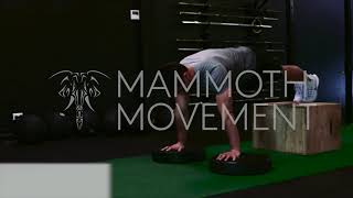 DECLINE DEFICIT PUSH UP