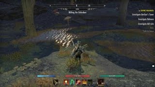 Famous World boss in Vvardenfell Wealth