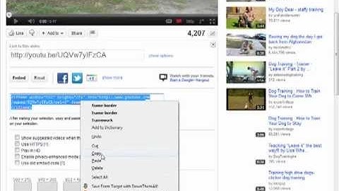 How to use the Video Squeeze Page Generator