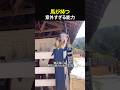 馬が持つ意外すぎる能力のサムネイル