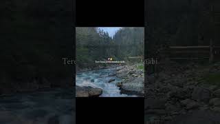 aakhri tere bina jindagi ❤️‍🩹✨#love #shorts #short #sad #love_whatsapp_status #shortsfeed
