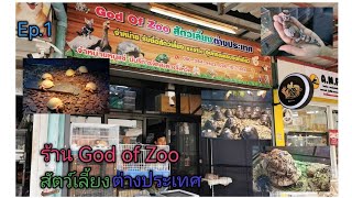 ร้าน God of​ Zoo​ (สัตว์เลี้ยง​ต่างประเทศ)​🐢🦎🐍Ep.1