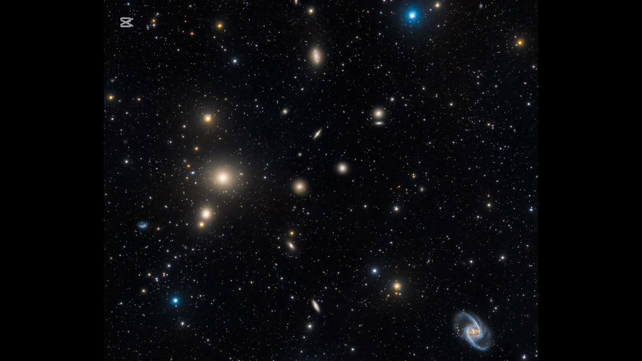 Cover Of Bruises By Lewis Capaldi (No Backtrack)