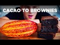 BROWNIES FROM A CACAO POD