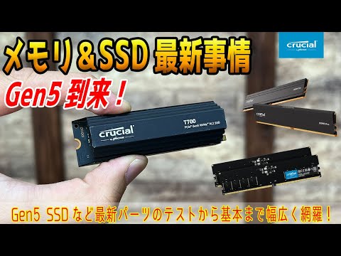 【初心者歓迎】メモリ＆SSD最新事情！Gen5 SSD登場やDDR5値下がりでどうなる？EXPO問題のその後も