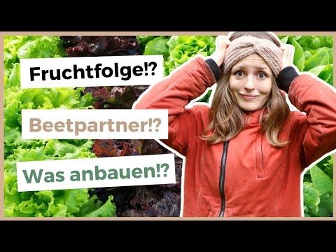 Video: Gemüsegarten in Zone 7 – Tipps zum Pflanzen eines Gemüsegartens in Zone 7