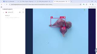 FOMO object detection   Object detection labeling   Edge Impulse   Google Chrome 2026 04 20 18 11 09