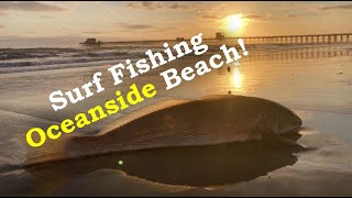 Surf Fishing Oceanside Beach  San Diego Beach Fishing!