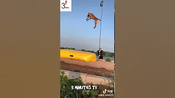 مش هتقدر تغمض عينيك من بعد ماتشاهد هذا الفيديو دومتم فى رعاية الله واتمنى لكم مشاهدة ممتعة 
