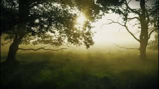 Wangu - Kondwa ft ( Mr Phill ) (lyrics visualizer)