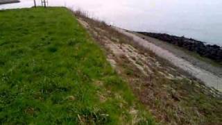 Dusty Van Den Dwingeland