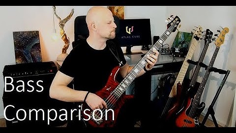 Bass Comparison - Spector, Dingwall, Warwick & Fender