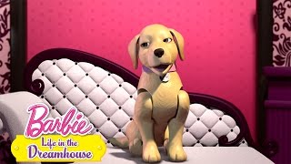 Мульт Пластиковое собачье сердце BarbieRussia 3