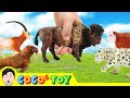 [EN] Let Animals go home 3!! animals names and sound for kids, animation, collectaㅣCoCosToy