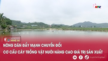 Nông dân đẩy mạnh chuyển đổi cơ cấu cây trồng vật nuôi nâng cao giá trị sản xuất
