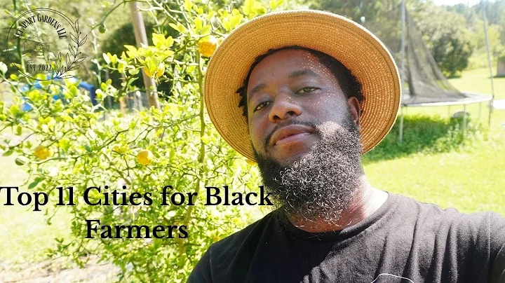 Top 11 Cities to Buy Farmland For Black People in America | Best Places to Start Homesteading