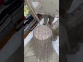 Latest Pakistani Designer Dresses #shorts #trending #viralvideo #dress #onlineshopping