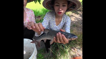 12 Cửa Ngục Quá Đã