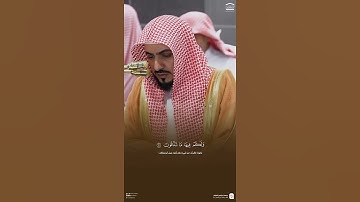 مقتطف من تلاوة فضيلة الشيخ #الوليد_الشمسان من فجر 26 صفر 1447هـ