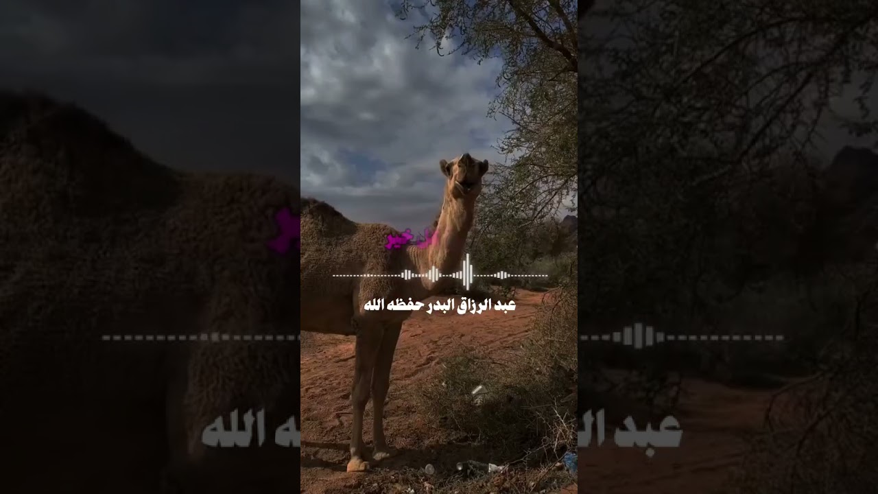 إنتبه خير الدعاء دعاء يوم عرفة الشيخ عبد الرزاق البدر