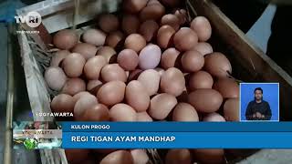 Regi Tigan Ayam Mandhap