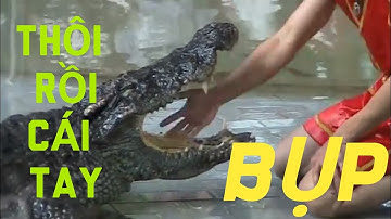 XIẾC CÁ SẤU YẾU TIM ĐỪNG XEM - NTP