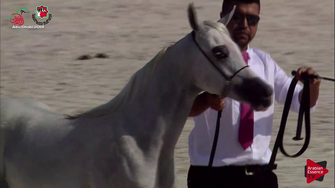 N 1 FK REEM   UAE Nationals 2019