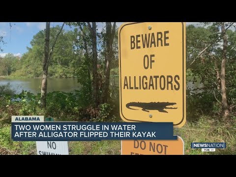 Video: Jsou v jezeře Eufaula Alabama aligátoři?