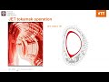 Seminar Series: Dr. Aaro Jarvinen (11.18.2024)