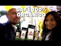 Así es la elaboración de un CAFÉ ORGÁNICO DE ALTURA VERACRUZANO - Perdomo Café